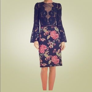 Tadashi Shoji Lace Ilusion sheath dress size 10